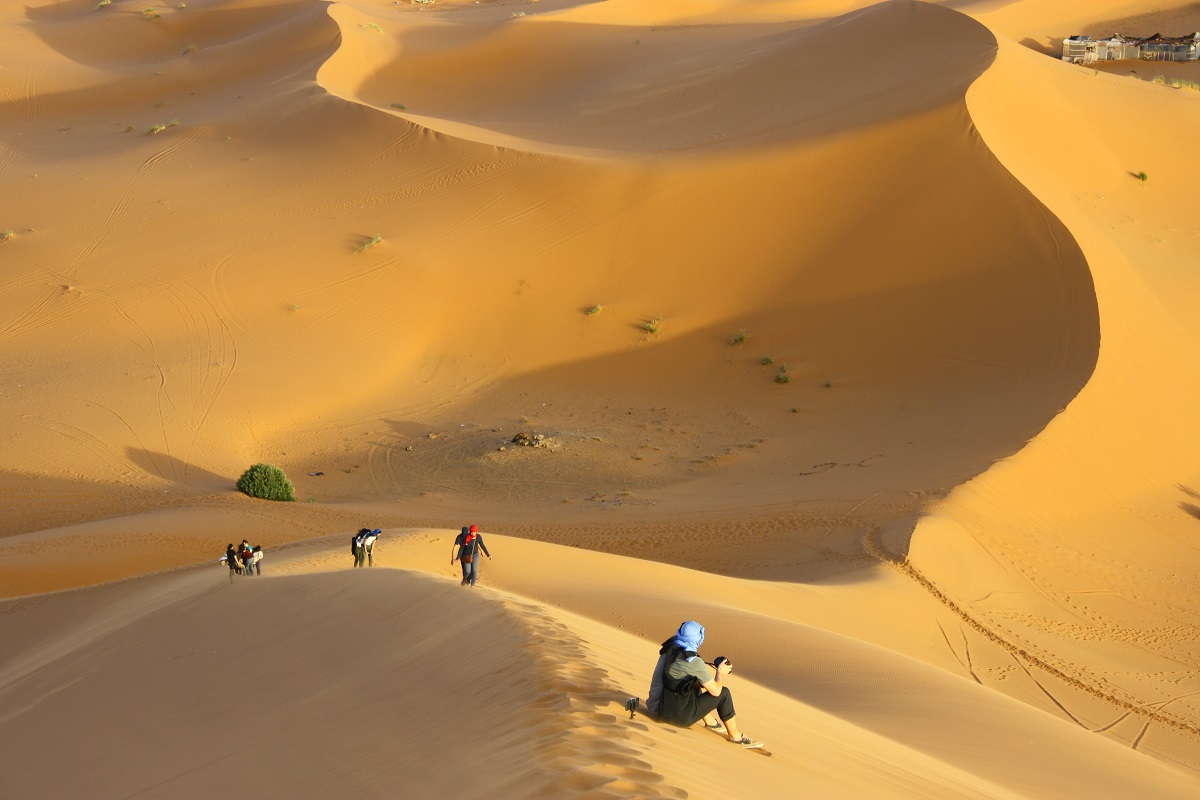 Le Maroc, invité d'honneur
Le fil rouge de la journée (expos, films, rencontres...)
Le Maroc, invité d'honneur
Le fil rouge de la journée (expos, films, rencontres...)
