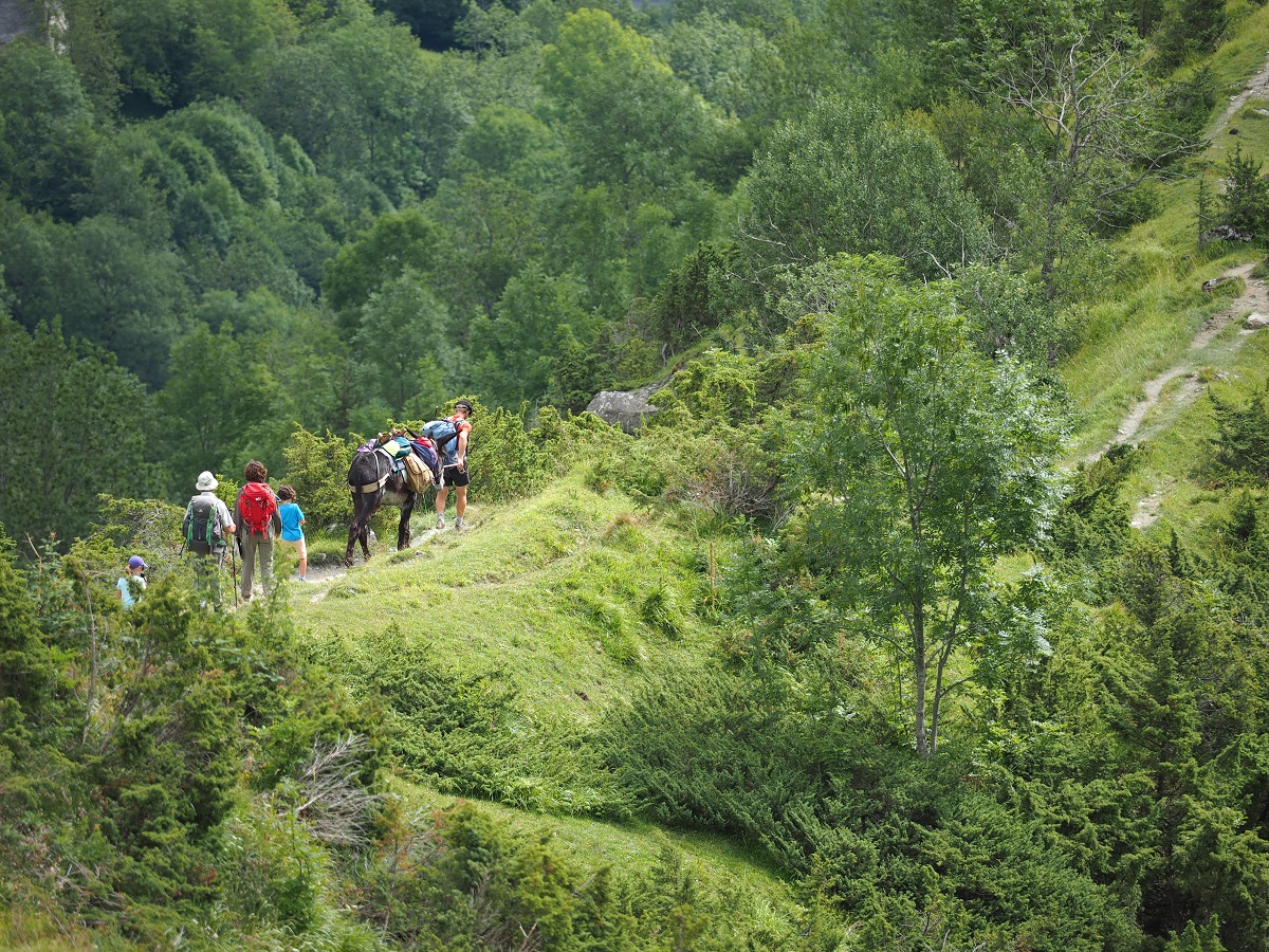 Randonnées accompagnées ou en libre autonomie 

Toute la journée (à la journée, à la demi-journée, sorties trail)
