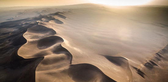 Oasis, des îles dans le désert